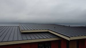 Fast & Reliable Emergency Roof Repairs in Clover Creek, WA